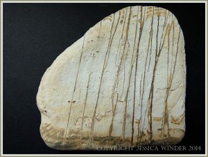 Beach stone made of Cork Group Namurian rock