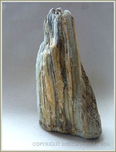 Beach stone made of Cork Group Namurian rock