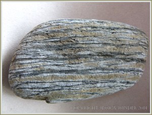 Beach stone made of Cork Group Namurian rock