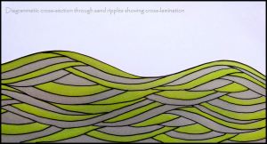 Stylised diagram of hypothetical cross-bedding in sand ripples