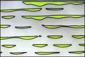 Diagram of lenticular lamination or linsen bedding
