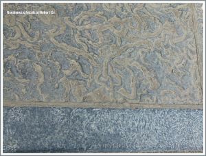 Steps of Liscannor flagstones and fossiliferous limestone at the Cliffs of Moher