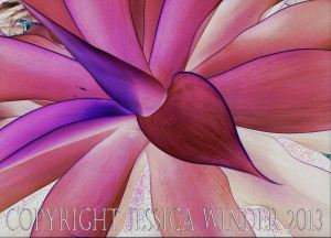 Art inspired by Nature