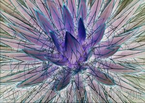 Art inspired by Nature