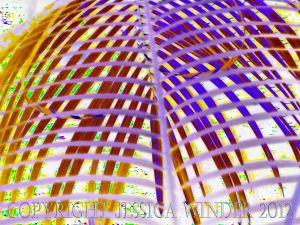 Leaf Art by Jessica Winder