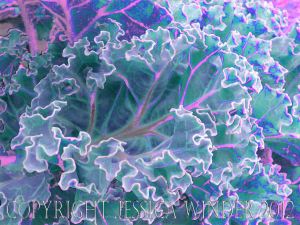 Leaf Art by Jessica Winder