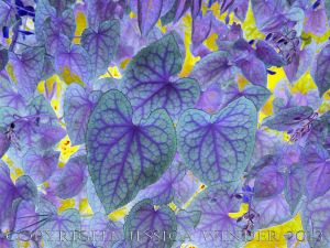 Leaf Art by Jessica Winder