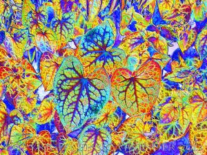 Leaf Art by Jessica Winder