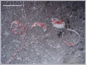 Fossil gastropod mollusc in Carboniferous Limestone