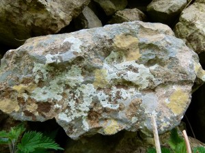 Natural patterns of lichens on a Gower dry stone