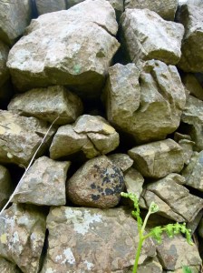 Dry stone wall with lichens near Mewslade Bay