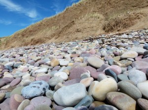 Pebbles on a Gower beach