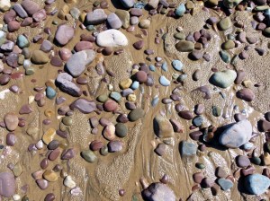 Pebbles on a Gower beach