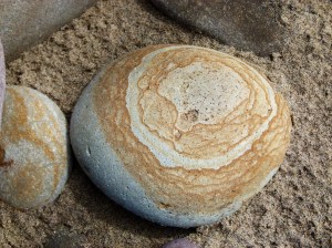 Pebbles on a Gower beach