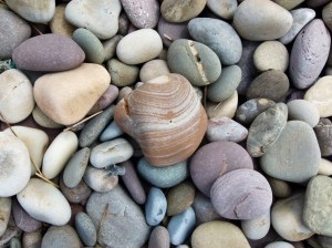 Pebbles on a Gower beach