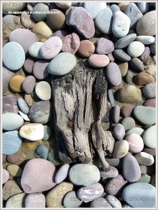 Detail of timbers in a shipwrecked wooden boat among pebbles on the beach