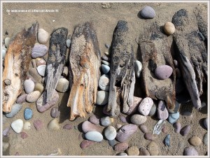 Detail of timbers in a shipwrecked wooden boat on the beach