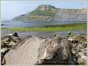 Rock textures on the Dorset coast