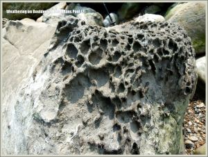 Rock textures on the Dorset coast