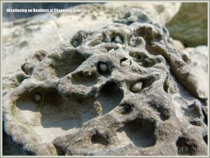 Rock textures on the Dorset coast
