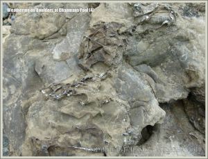 Rock textures on the Dorset coast