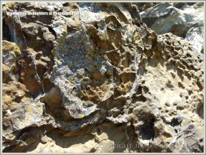 Rock textures on the Dorset coast