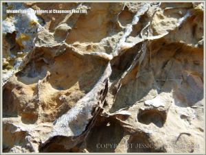 Rock textures on the Dorset coast