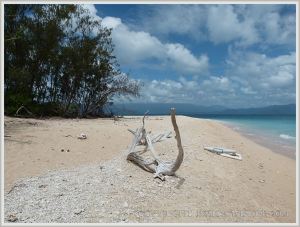 Beachscape at Normanby Island