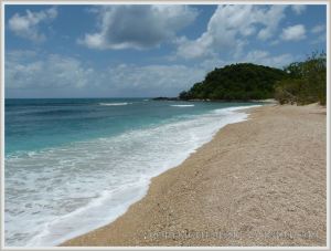 Beach view on tropical Normanby Island