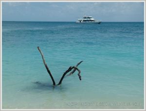 View from the beach on Normanby island