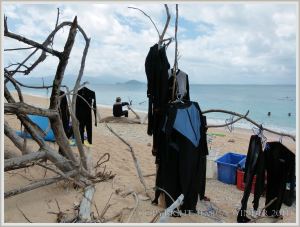 "Stinger" suits hanging up to dry on Normanby Island beach