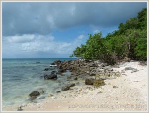 Tropical island beach off the Queensland coast
