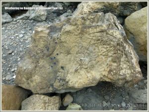 Rock textures on the Dorset coast
