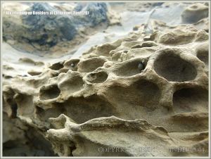 Rock textures on the Dorset coast
