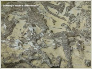 Rock textures with trace fossils on the Dorset coast