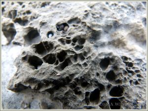 Rock textures on the Dorset coast