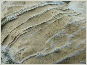 Rock textures on the Dorset coast