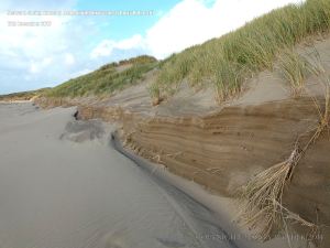 Erosion of sand dunes showing stratification of sand