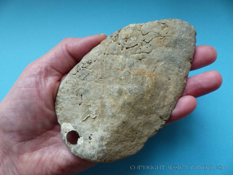 A stone found on the Worm's Head Causeway