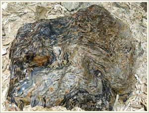 Natural pattern in bedrock on Normanby Island