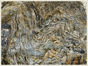 Natural pattern in bedrock on Normanby Island