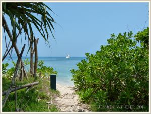 View from the trees to the beach on Normanby Island
