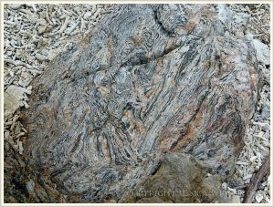 Natural pattern in bedrock on Normanby Island