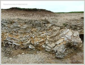 Possible periglacial rock structures beneath the lower raised beach on the Isle of Portland