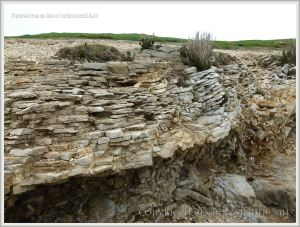 Possible periglacial rock structures beneath the lower raised beach on the Isle of Portland