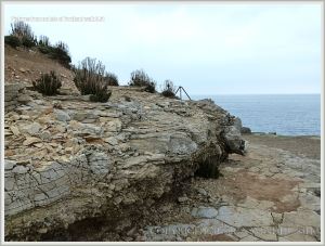 Possible periglacial rock structures beneath the lower raised beach on the Isle of Portland