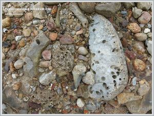 Isle of Portland raised beach deposits (Portland East Beach)