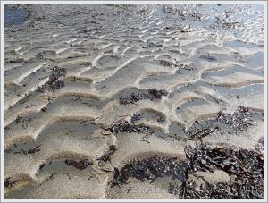 Sand ripples at Monmouth Beach in Lyme Bay