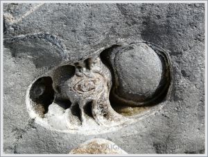 Natural cross-section through a large fossil ammonite in a boulder on the beach at Lyme Regis