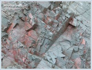 Close-up of Red point rock on Grand Manan